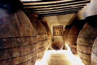 Visit a centenary winery and lunch in a typical restaurant in Chi