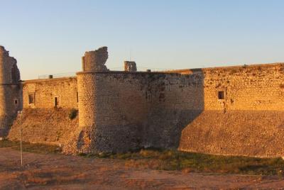 Visit Winery Wines and a town Madrid