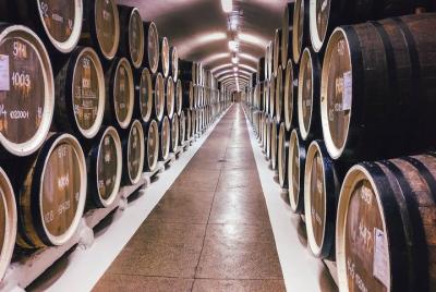 Ribera del Duero & Segovia: Wine tasting and Gastronomic Experience