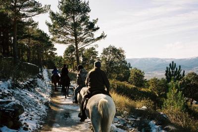 Horse Riding Madrid Natural Park