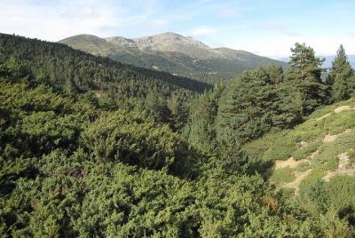 National Park of Guadarrama and Manzanares castle: Daytrip from Madrid