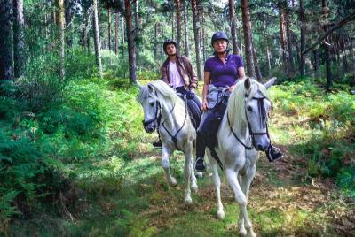 Private Horse Ride in Guadarrama National Park
