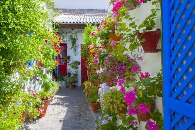 4-Day Guided Tour of Caceres, Cordoba, and Seville by Bus and High-Speed Train