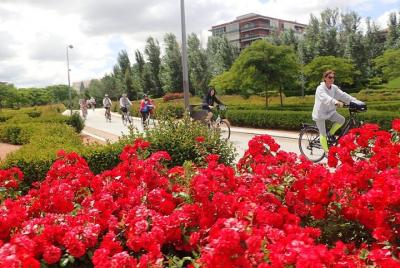 Parks and River Bike Tour of Madrid Parks and River Bike Tour of Madrid