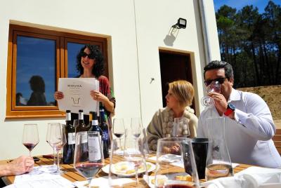 Wine Day Guided Tour to Ribera del Duero from Madrid