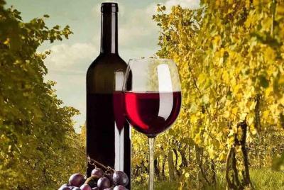 Half-Day Guided Tour to a Winery from Madrid