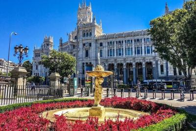 Madrid by bus one day