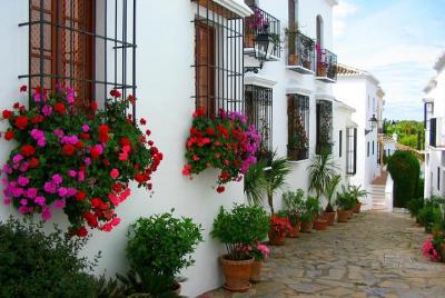 Marbella, Historical Centre & Tapas: Private Trip from Costa del Sol Marbella, Historical Centre & Tapas: Private Trip from Costa del Sol
