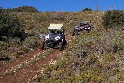 Surrounding Ronda Buggy Trip with Gorge Visit Surrounding Ronda Buggy Trip with Gorge Visit