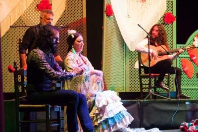 Malaga Flamenco Show Malaga Flamenco Show