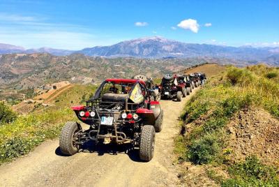 Malaga Shore Excursion: Panoramic Buggy Tour with Wine Tasting in a Historical Cellar Malaga Shore Excursion: Panoramic Buggy Tour with Wine Tasting in a Historical Cellar
