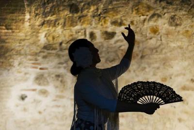 Flamenco, Tapas and Wine Tour: BEST OF MƔlaga in one evening! Flamenco, Tapas and Wine Tour: BEST OF MƔlaga in one evening!