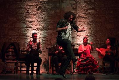 Jerez Flamenco Day Trip from Malaga Jerez Flamenco Day Trip from Malaga