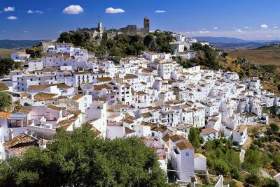Malaga Airport Transfers : Malaga City to Malaga Airport AGP in Business Car Malaga Airport Transfers : Malaga City to Malaga Airport AGP in Business Car