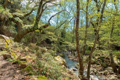 Photo hike Río Guadalmesí near Algeciras and walk through Tarifa Photo hike Río Guadalmesí near Algeciras and walk through Tarifa
