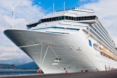 Private Malaga Transfer: Central Malaga and Costa del Sol to Cruise Port Private Malaga Transfer: Central Malaga and Costa del Sol to Cruise Port