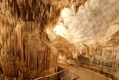 Mallorca: Cuevas del Drach and Portocristo Full-day Tour Mallorca: Cuevas del Drach and Portocristo Full-day Tour