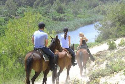 Mallorca Evening Tour: Horseback Riding, Dinner and Dance Mallorca Evening Tour: Horseback Riding, Dinner and Dance