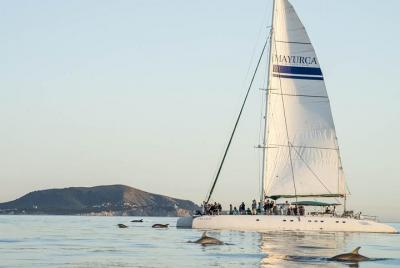 Day Catamaran Trip: Cap des Freus and Llevant Natural Park Day Catamaran Trip: Cap des Freus and Llevant Natural Park