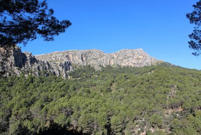 Half Day Gastronomic Experience in Puigpuñent