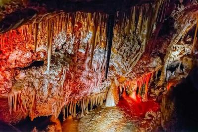 Cuevas de Genova Admission and Tapas Tasting with drinks