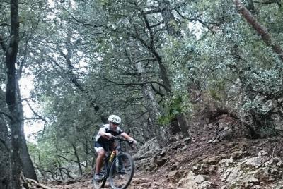 MTB guided tour in Bellver forest and Na Burguesa mountain 