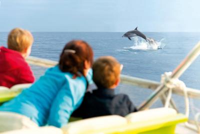 Sunrise Boat Trip in Mallorca with Dolphin-Watching Sunrise Boat Trip in Mallorca with Dolphin-Watching