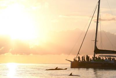 Mallorca Catamaran with Dolphin Watching and breakfast Mallorca Catamaran with Dolphin Watching and breakfast