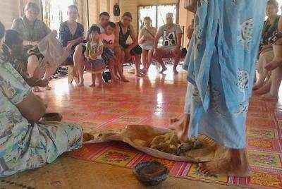 Half-Day Coral Coast Tour of Traditional Fiji from Denarau or Nad