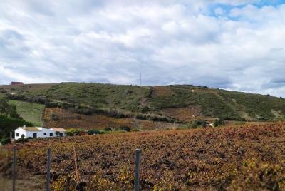 Manilva & Gaucin Wine Tour from the Costa del Sol Manilva & Gaucin Wine Tour from the Costa del Sol