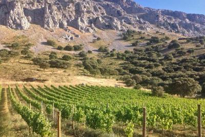 VIP Wine Tour through the Guadalhorce Valley & Wolf Sanctuary Vis VIP Wine Tour through the Guadalhorce Valley & Wolf Sanctuary Vis