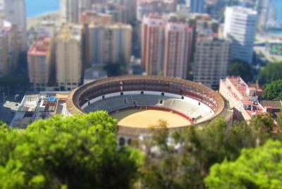 Malaga from Marbella & Costa del Sol: Private Trip