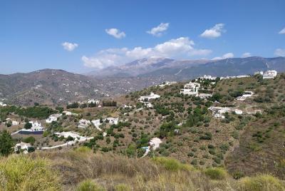 Discover boutique wineries and white washed villages with Andalucian lunch