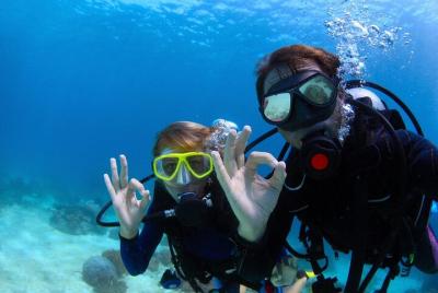 Diving Experience from the North of Menorca with Guide Diving Experience from the North of Menorca with Guide