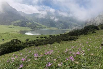 Northern Spain tailored tours by car Asturias Galicia Basque Coun Northern Spain tailored tours by car Asturias Galicia Basque Coun