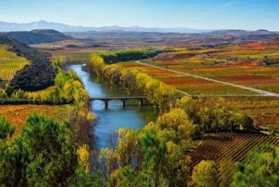 Rioja Alta and Rioja Alavesa Wine Tour Rioja Alta and Rioja Alavesa Wine Tour