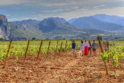 Rioja Like A Native Wine Tour Rioja Like A Native Wine Tour