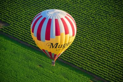 Hot Air Balloon Flight over the vineyards of the Rioja Wine Country Hot Air Balloon Flight over the vineyards of the Rioja Wine Country