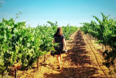 Discover the authentic wine culture of Rueda Discover the authentic wine culture of Rueda