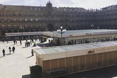Guru of the Plaza Mayor Guru of the Plaza Mayor