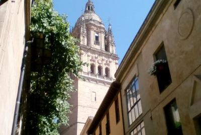 Sight-Seeing and Pub Tour (ENGLISH)