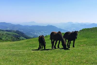 Basque MOUNTAINS, OCEAN & SANCTUARY of LOYOLA - Private Cultural Adventure Basque MOUNTAINS, OCEAN & SANCTUARY of LOYOLA - Private Cultural Adventure