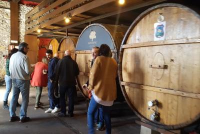 Idiazabal Cheese Farm and Basque Cider House Lunch from San Sebastian Idiazabal Cheese Farm and Basque Cider House Lunch from San Sebastian