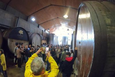 Live in the cider house, the tradition of the txotx. Live in the cider house, the tradition of the txotx.