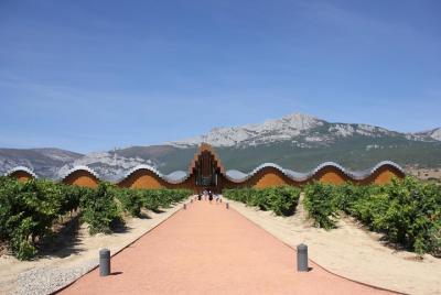Rioja Full Experience Tour from San Sebastian with Lunch Rioja Full Experience Tour from San Sebastian with Lunch