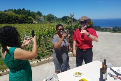 Txakoli Winery Tour through the Coast from San Sebastian Txakoli Winery Tour through the Coast from San Sebastian