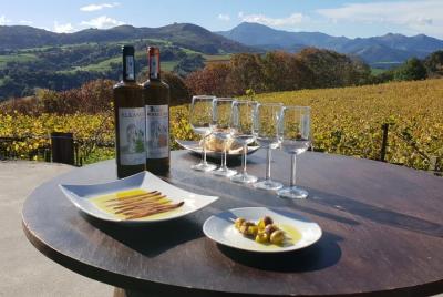 Private txakoli winery tour with tastings in Getaria Private txakoli winery tour with tastings in Getaria