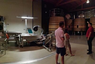 Visit a winery in Rioja  Visit a winery in Rioja
