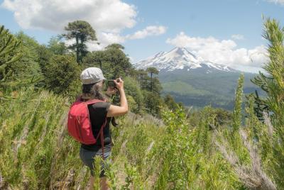Conguillío National Park, trekking and photography Conguillío National Park, trekking and photography