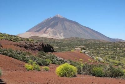 Mt. Teide and Masca Valley Tour in Tenerife Mt. Teide and Masca Valley Tour in Tenerife